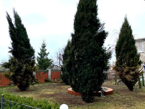 дом по адресу с. Сурско-Литовское, Космічна