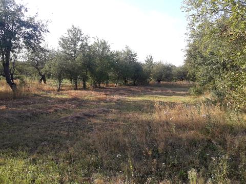 ділянка за адресою Привокзальна