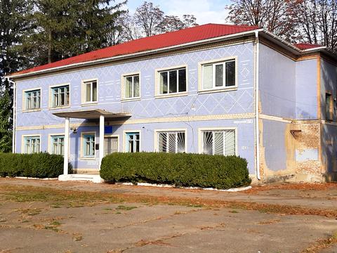 комерційна за адресою Незалежності вул., 228