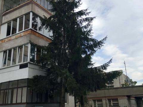 квартира за адресою Широка вул., 1