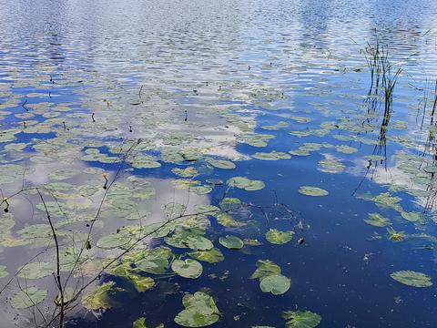 ділянка за адресою Набережна, 20