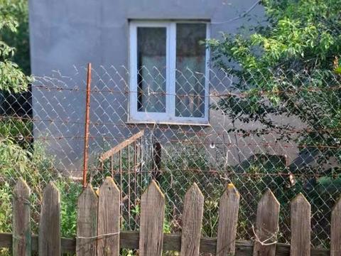 дом по адресу Дачи, 123