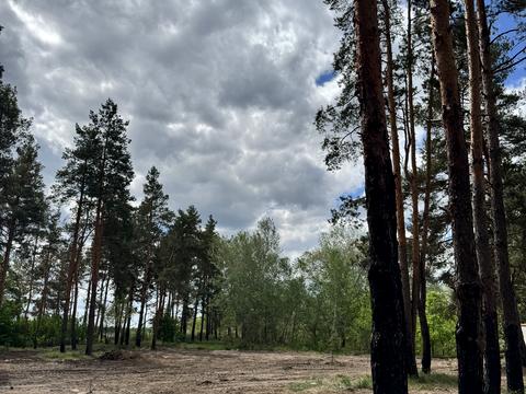 ділянка за адресою с. Піщанка, Зелена