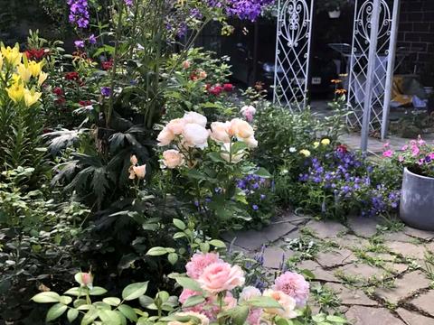 будинок за адресою Чаплинська вул.