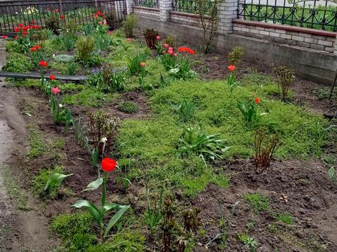 будинок за адресою Короленка вул.