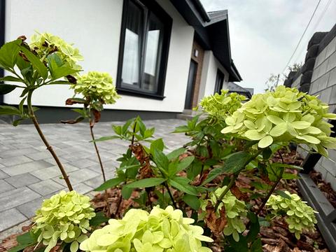 дом по адресу Сосновая ул., 15