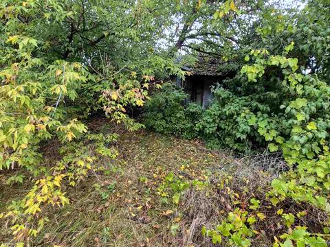 участок по адресу Островная ул., 209