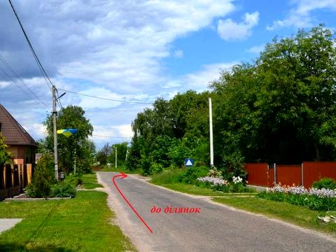 участок по адресу рильського, 8