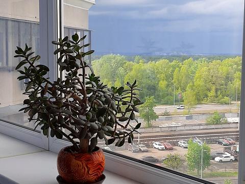 квартира за адресою Оноре де Бальзака вул., 4