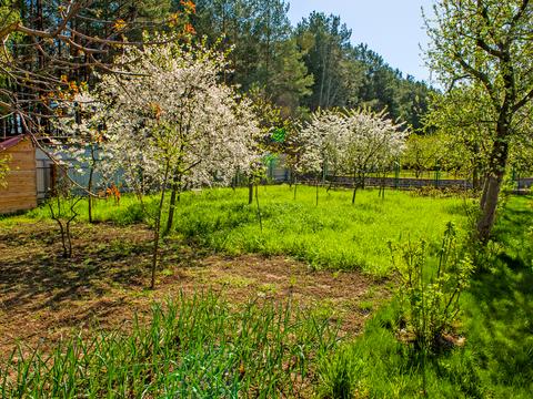 дом по адресу Садовая ул.