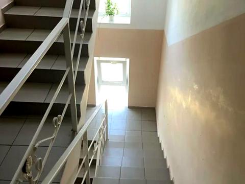 квартира по адресу Платановая ул., 82
