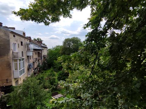 квартира по адресу Репина ул., 19