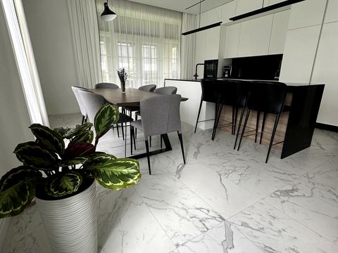 дом по адресу Лучшая ул. (Ломоносова), 1