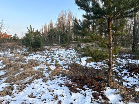 участок по адресу Васильківська, 22