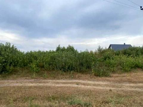 ділянка за адресою Визволителів вул.