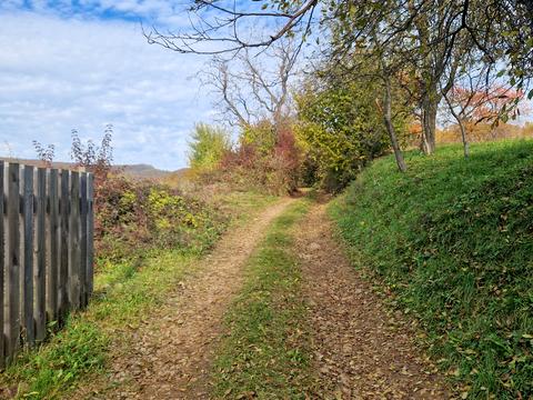будинок за адресою с. Анталовці, Борканюка