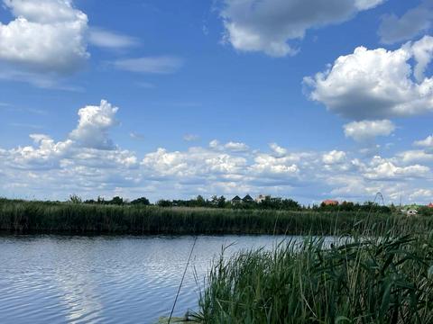 ділянка за адресою с. Новоселівка, Центральна, 52