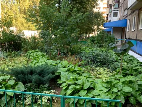 квартира по адресу Калиновая ул., 76