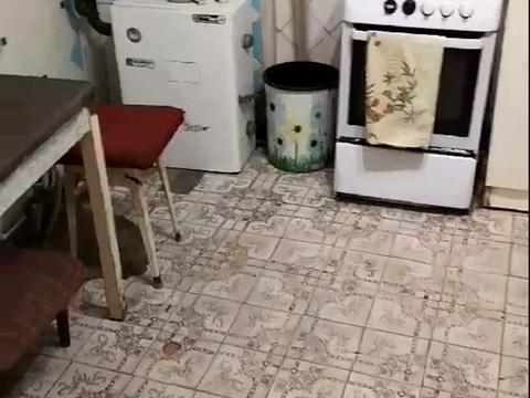 квартира по адресу Гарина ул., 20