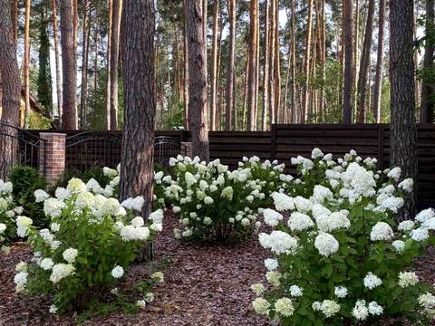 будинок за адресою Отамана Орлика вул.