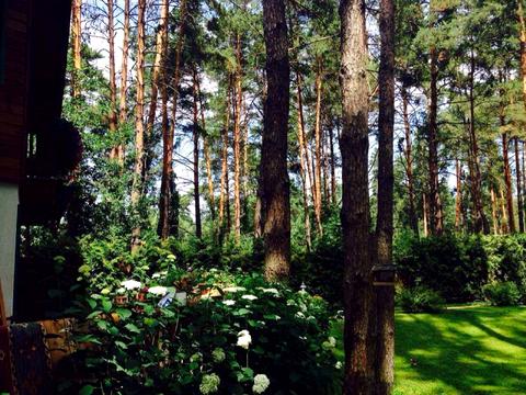 дом по адресу Сосновый Бор ул.