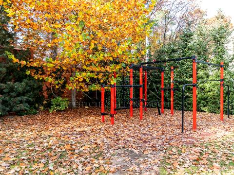 будинок за адресою Лісна