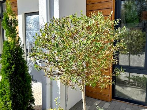 будинок за адресою Пухівська, 14