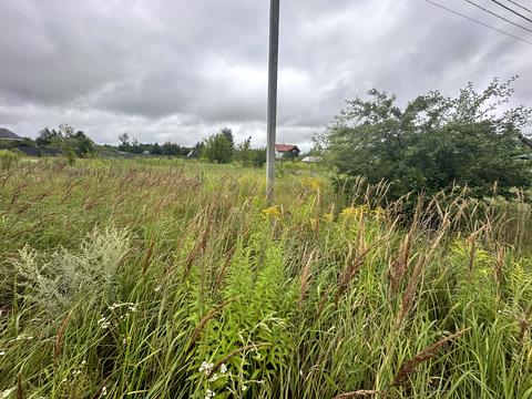 ділянка за адресою вул.Лісова