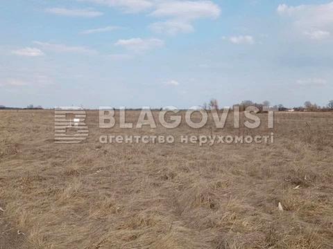 участок по адресу с. Гоголев, 