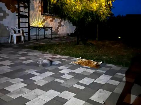 дом по адресу Лоцманська ул., 40