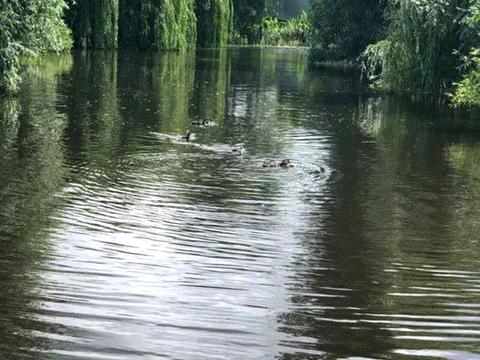 будинок за адресою с. Гнідин, Чапаєва
