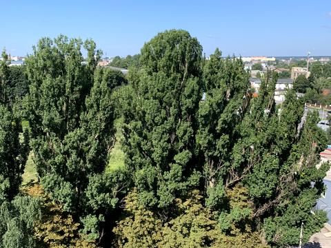 квартира по адресу Левка Лукьяненко ул. (Ватутіна), 16