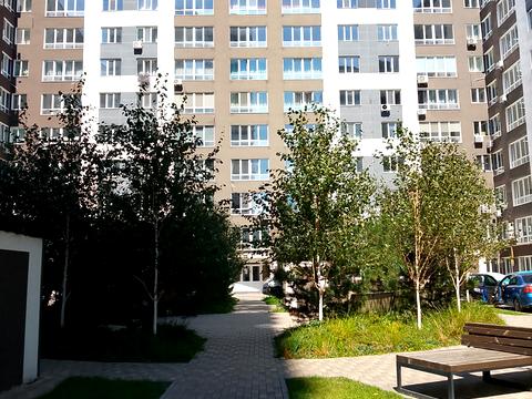 квартира за адресою Виговського вул, 62