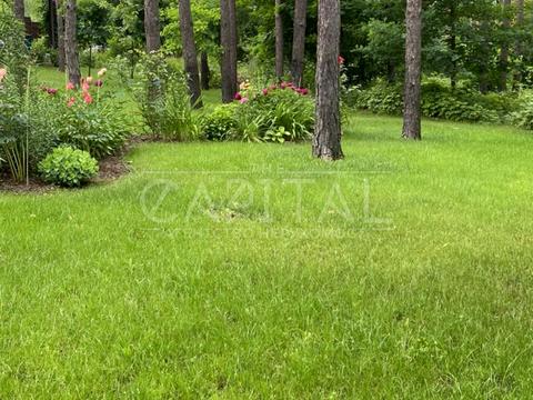 ділянка за адресою с. Ходосівка, Центральна