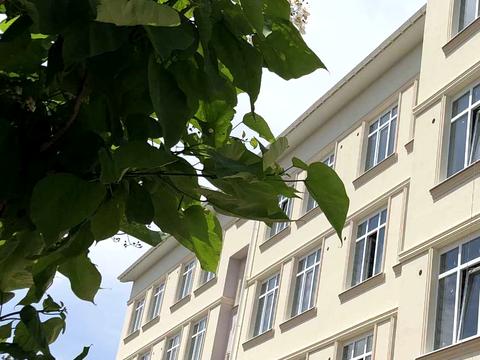 квартира за адресою Квіткова вул. (Богуна), 1