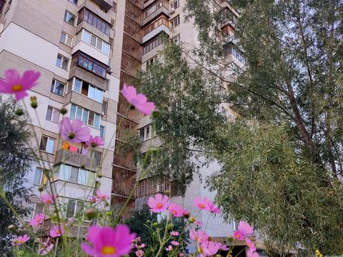 квартира за адресою Симиренка вул., 2-В