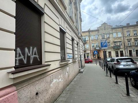 комерційна за адресою Пантелеймона Куліша вул., 24