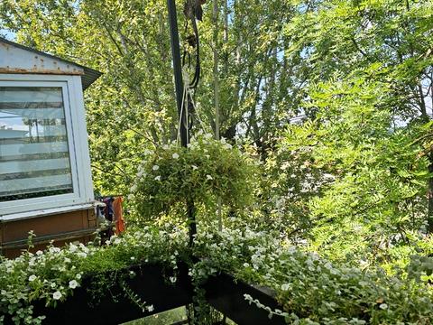 квартира по адресу Городоцкая ул., 225