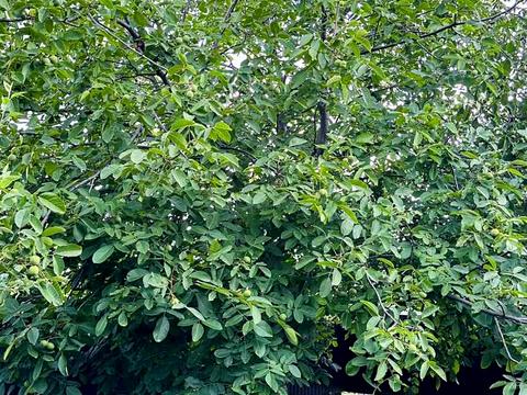 будинок за адресою Юності вул., 10