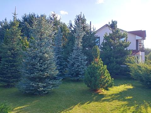 будинок за адресою Підлісна, 3