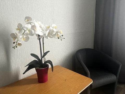 квартира за адресою Кібальчича, 21