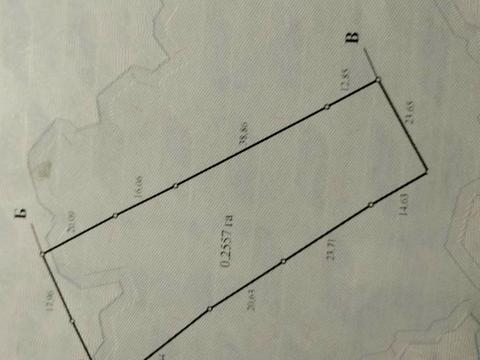 ділянка за адресою 