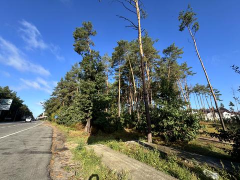 участок по адресу Гостомельське шосе