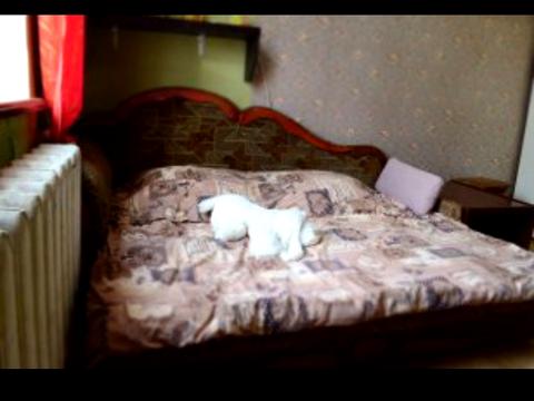 квартира за адресою Під Дубом вул. (Космонавтів), 22