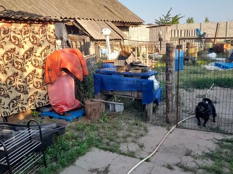 ділянка за адресою с. Лебедівка, Соборна
