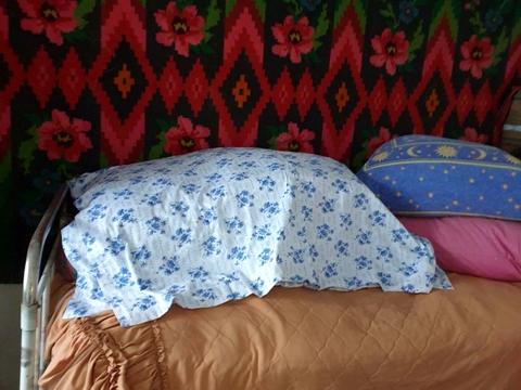 будинок за адресою с. Мале Ладижине, Мале Ладижине, 1