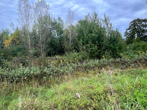 ділянка за адресою 