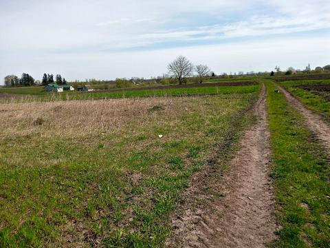 ділянка за адресою нове село, 1