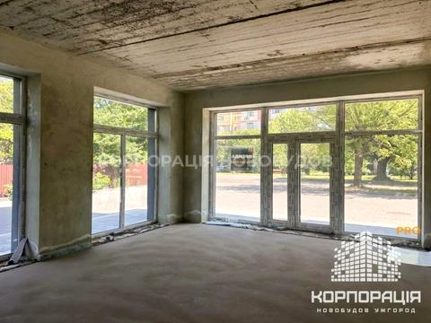 коммерческая по адресу Капушанская ул., 170