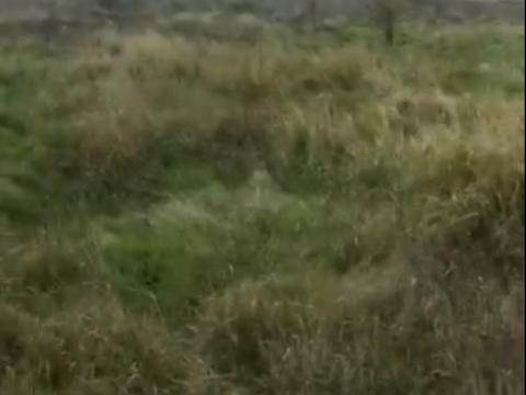 участок по адресу Степовая